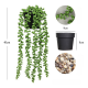 Artificial Plant